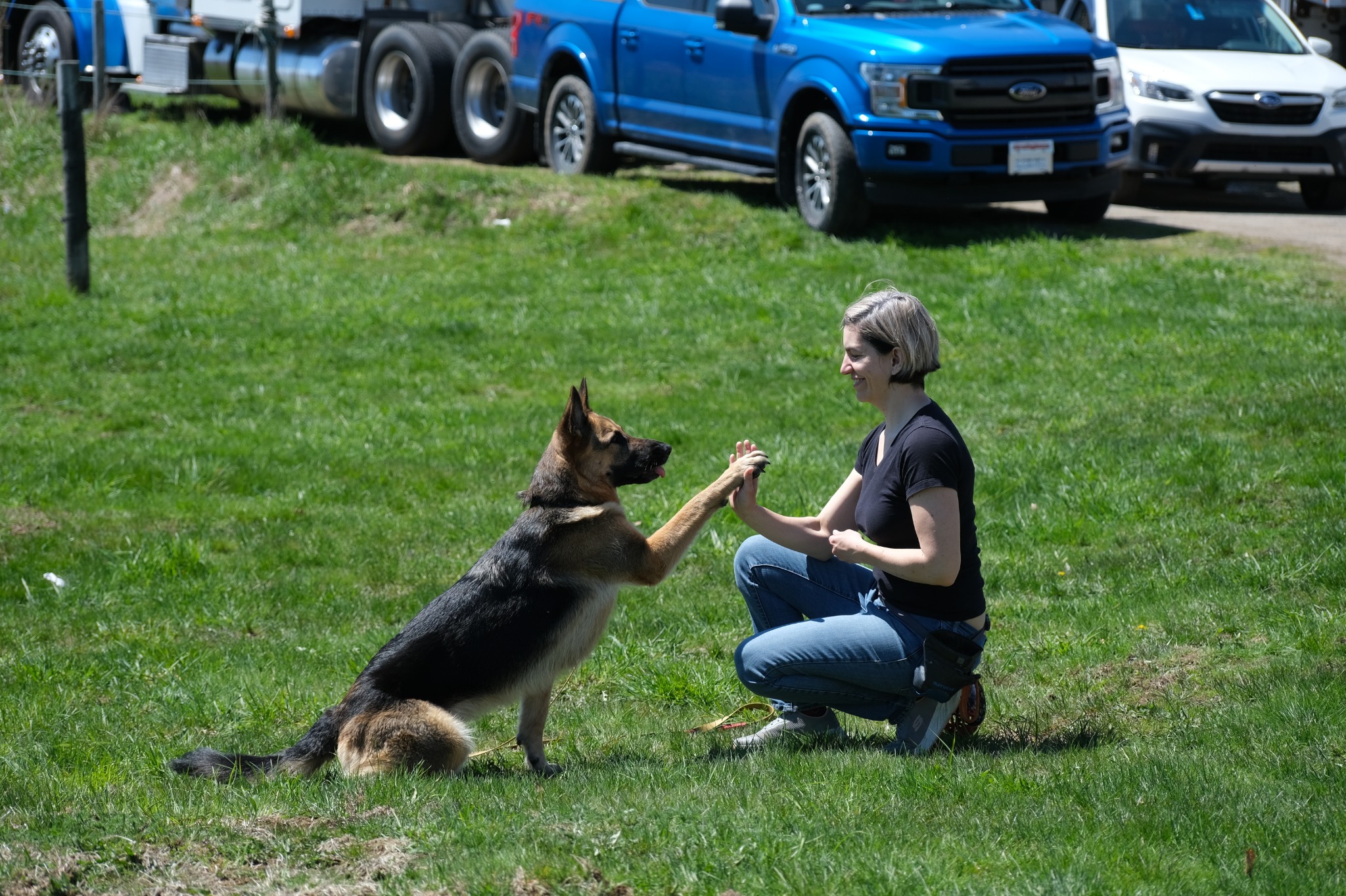 Dog offering a paw to a kneeling trainer on grass