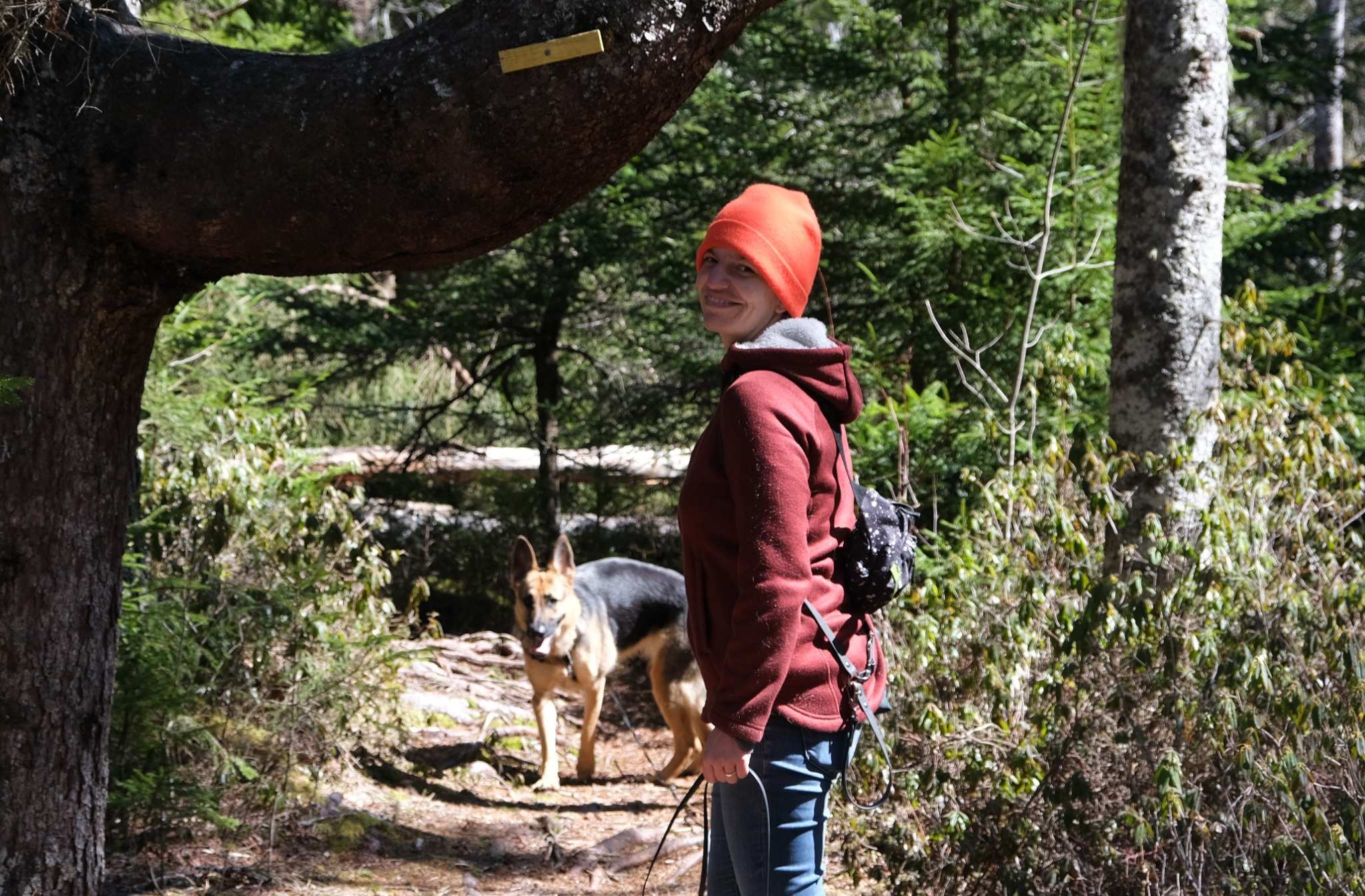 Aisha and dog Luna during a long line training walk in the woods
